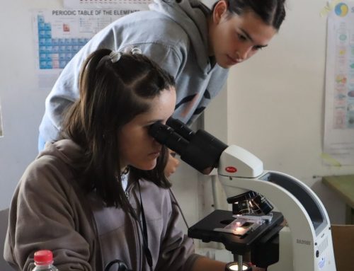 Girls own STEM –  Bioteka poziva srednjoškolke zainteresirane za razvoj karijere u STEM-u da se uključe u projekt